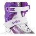 Amila Rollers Viola